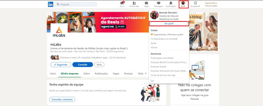 Perfil Linkedin Veja Como Criar O Seu Dicas