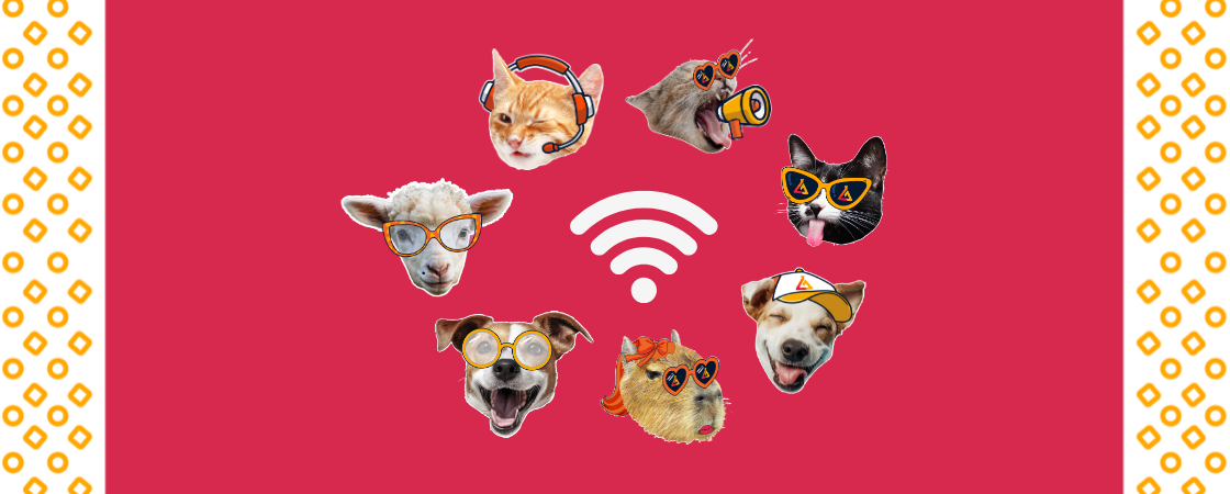 Internet para todos: do luxuoso ao popular