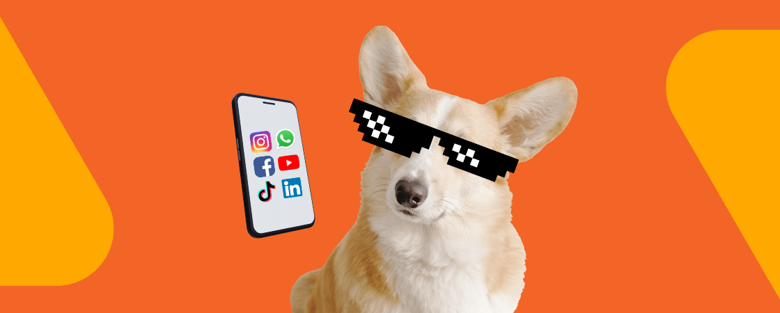 Entenda o que são memes e como utilizá-los nas redes sociais