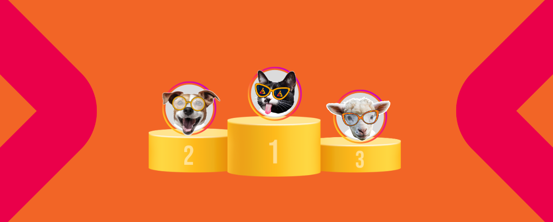 melhores perfis Instagram Veja quais são os 11 melhores perfis do Instagram para seguir e se inspirar!