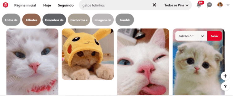 O que é Pinterest 2: a imagem ilustra o processo de salvar um Pin no Pinterest, há uma série de imagens de gatinhos, uma está selecionada e no cantinho superior direito dela está escrito "salvar".