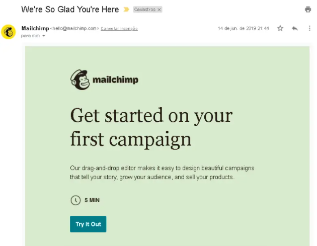 email marketing exemplo: imagem do email da mailchimp