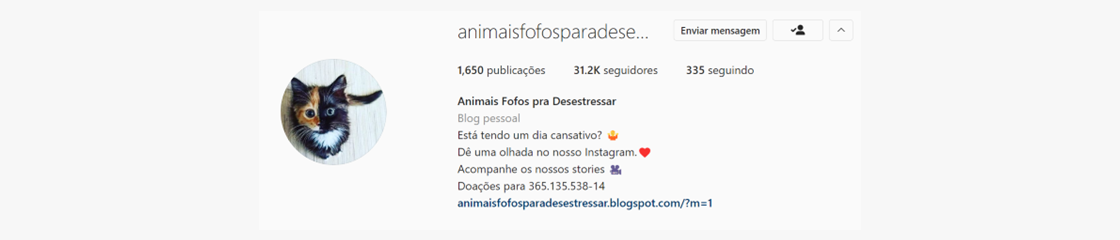 bio-do-instagram-10: exemplo de biografia