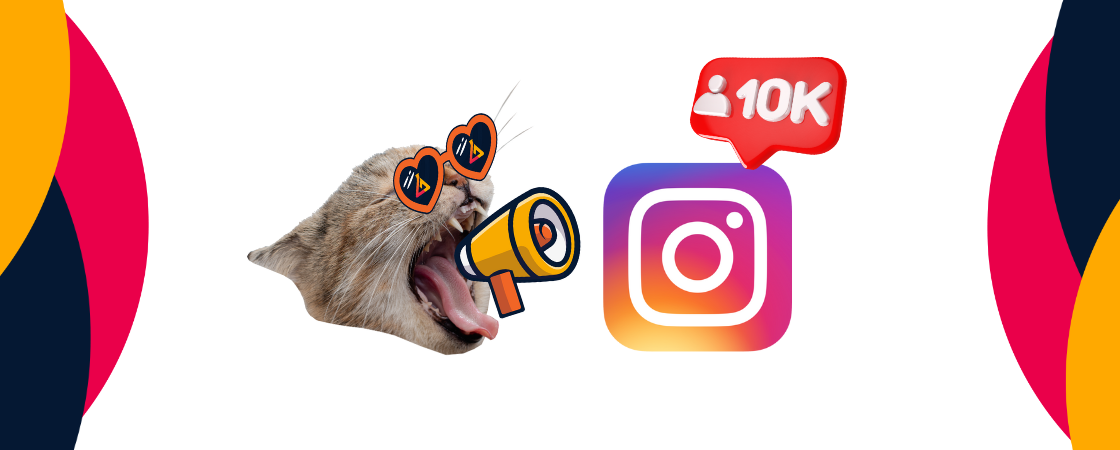 Como ganhar seguidores no Instagram: 22 dicas que nos levaram a 200 mil followers!