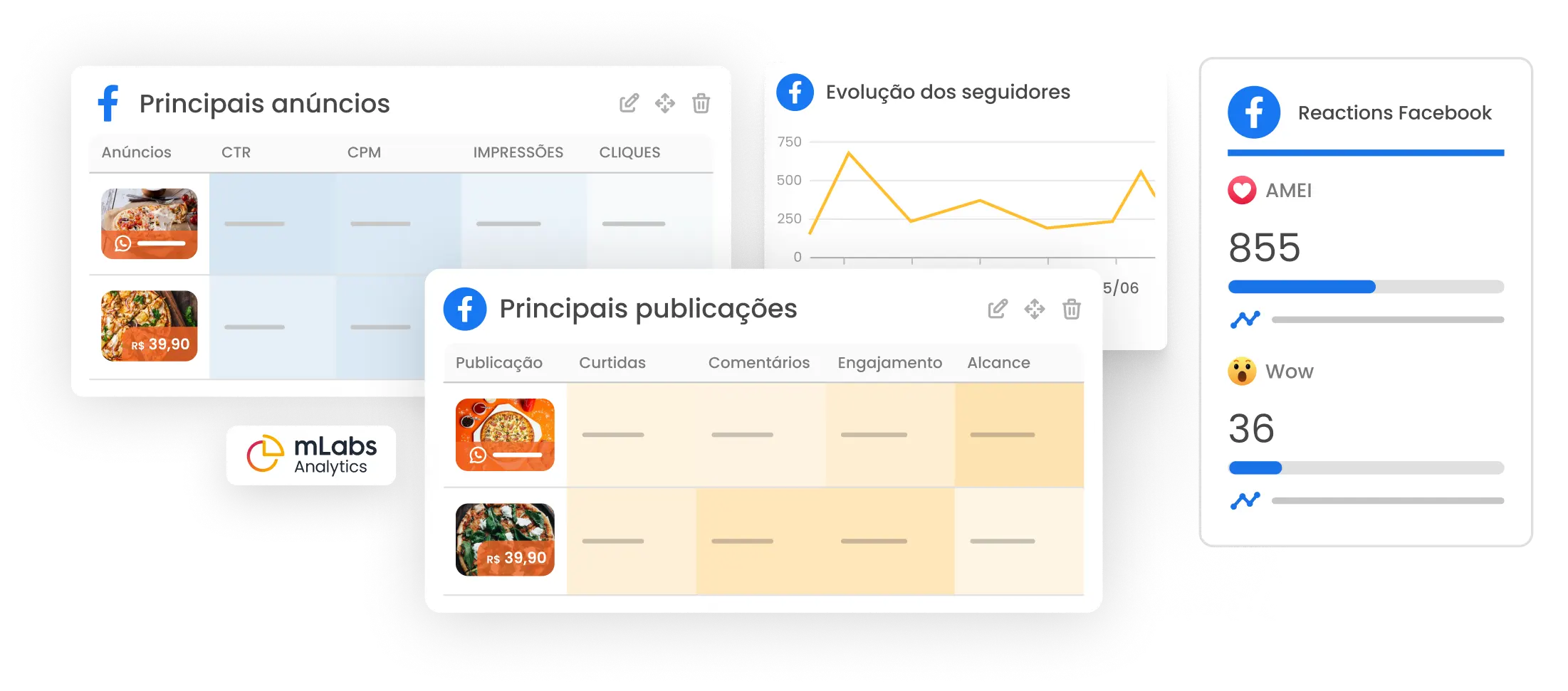 Imagem mostra gráficos com principais anúncios, evolução dos seguidores, principais publicações e reactions do Facebook.