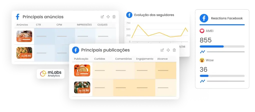 mlabs-graficos-meta Imagem mostra gráficos com principais anúncios, evolução dos seguidores, principais publicações e reactions do Facebook.