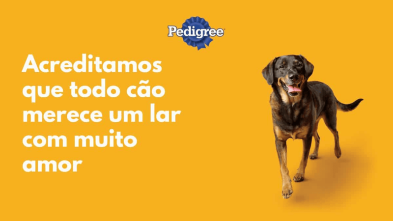 Campanha de marketing social da Pedrigree: Adotar É Tudo de Bom.