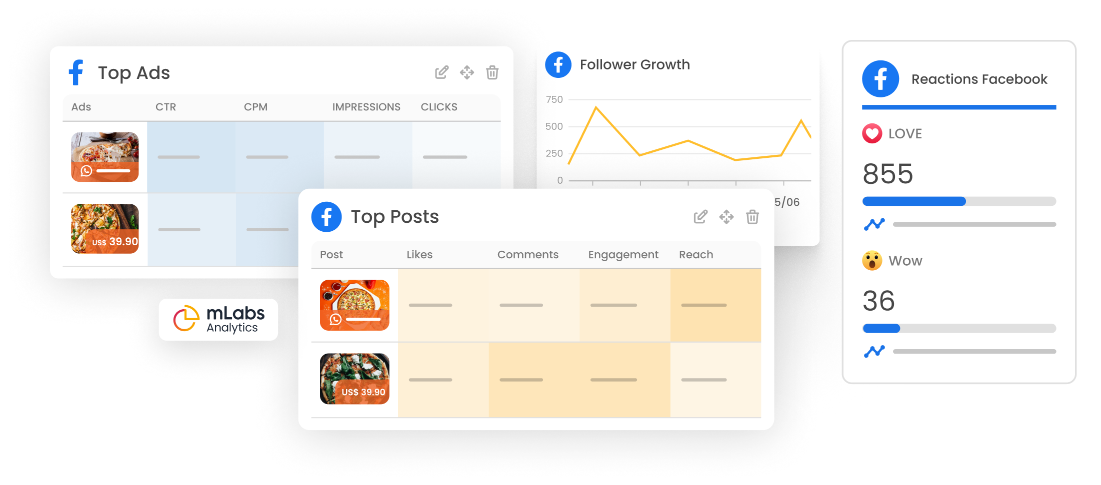 mlabs-meta-graphics The image shows charts with top ads, follower growth, top posts, and Facebook reactions.