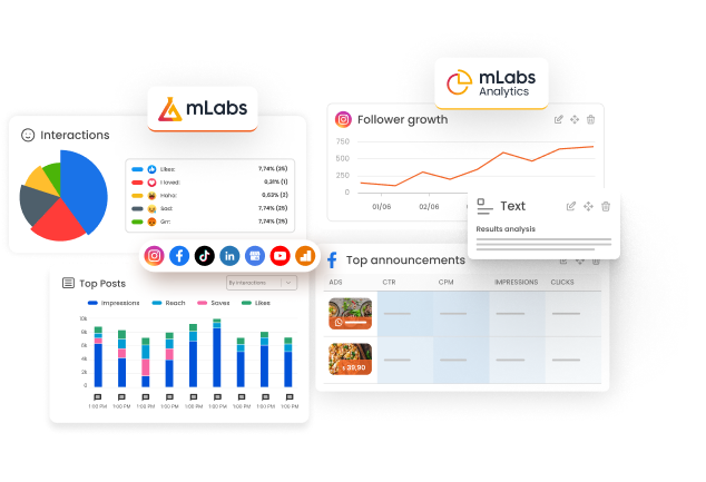 Image shows two marketing and social media reports generated by mLabs and mLabs DashGoo.