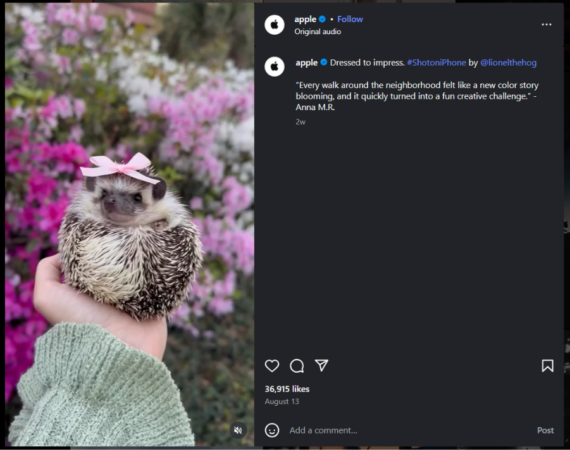 Slow Content 2 Apple: um exemplo de boa aplicação do slow content: uma única postagem diária, inspiração e legendas curtas.